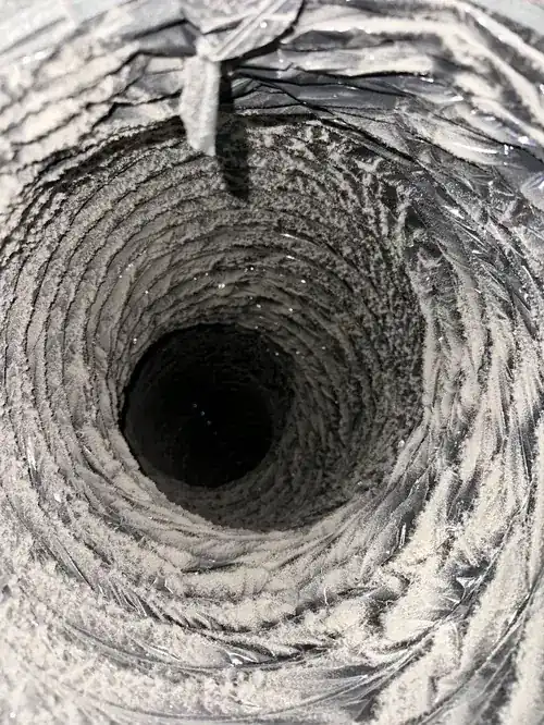 Rotary brush clearing lint from dryer vent